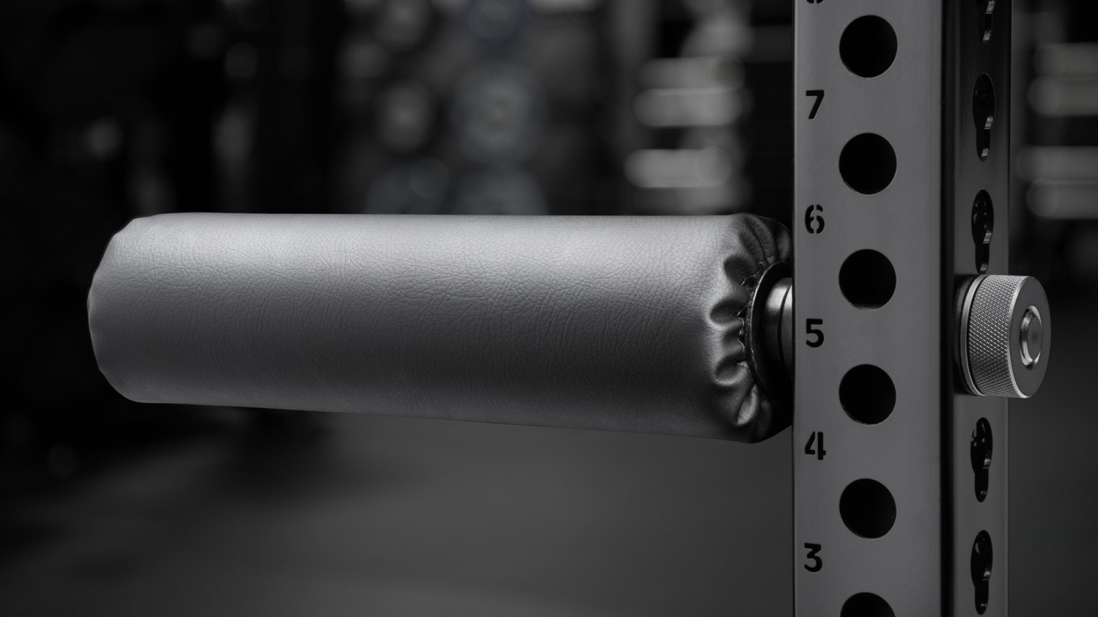 Rogue Monster Single Leg Roller 2.0
